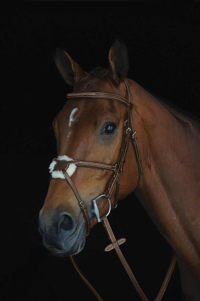 Collegiate Mono Crown Figure 8 Bridle, Brown - 0V1VD - Cob - 2