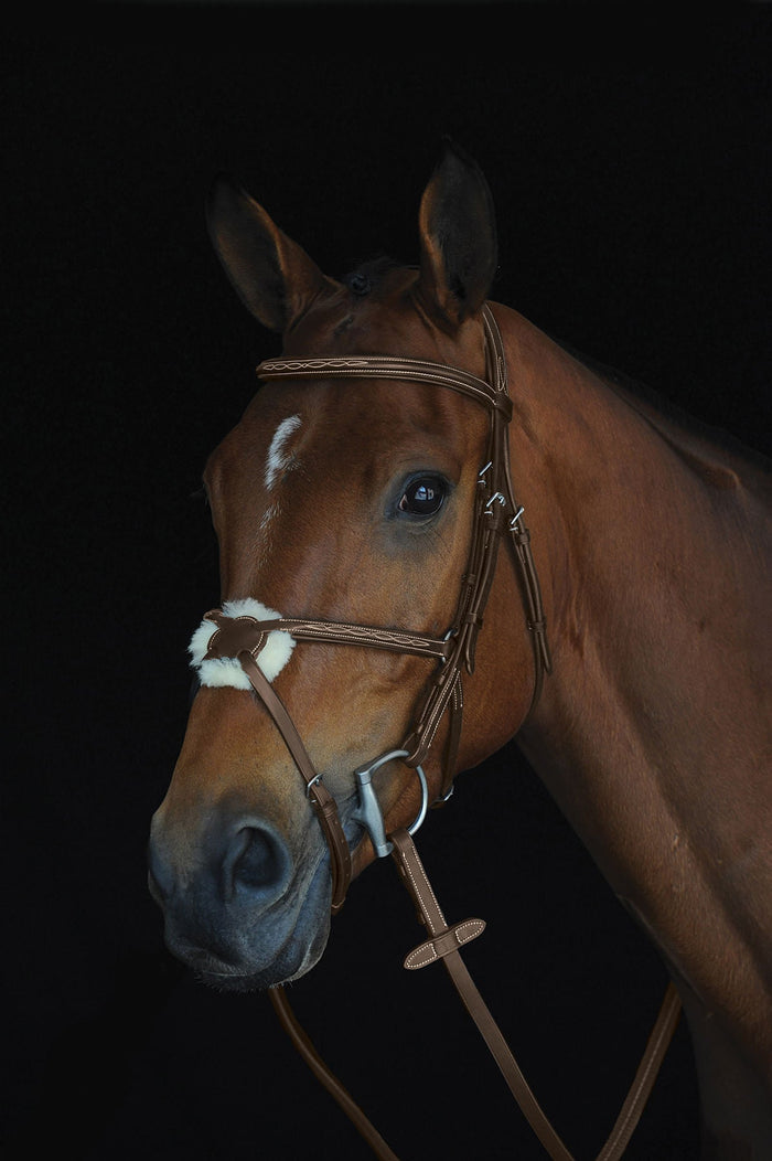 Collegiate Mono Crown Figure 8 Bridle, Brown - 0V1VE - Full - 3