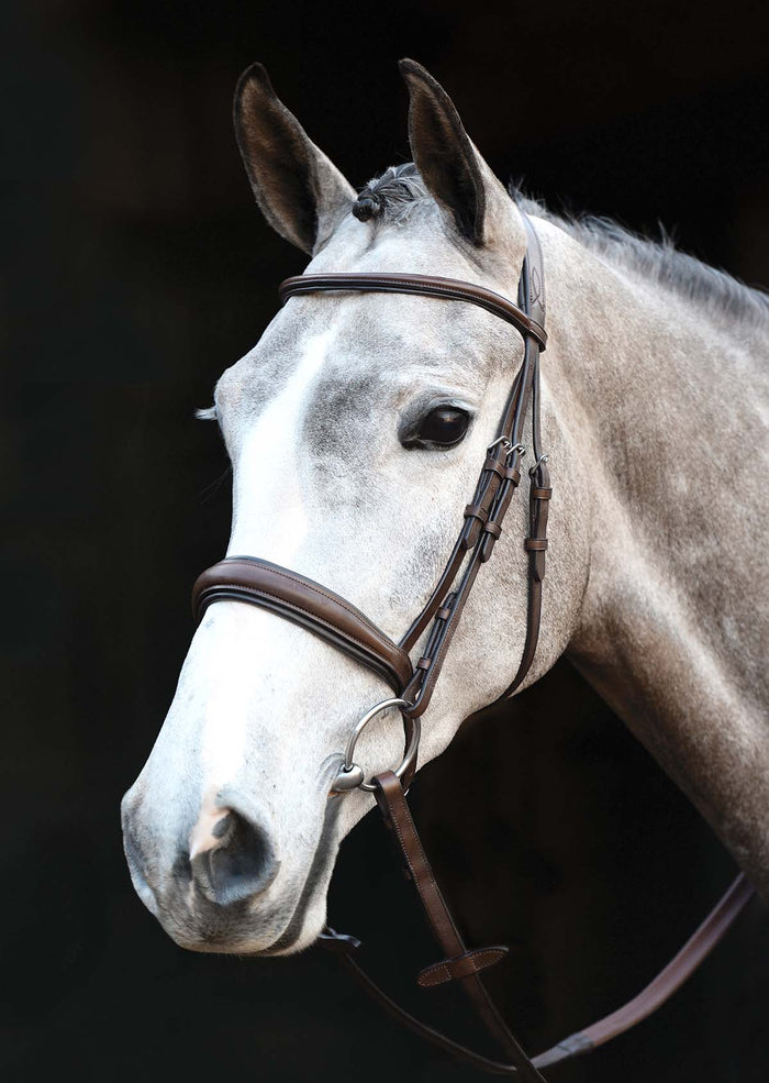 Collegiate Mono Crown Padded Raised Cavesson Bridle - 0V1U9 - Brown - Cob - 2