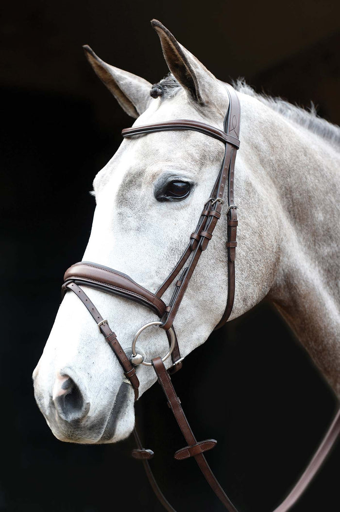 Collegiate Mono Crown Padded Raised Flash Bridle - 0V1U3 - Brown - Full - 2