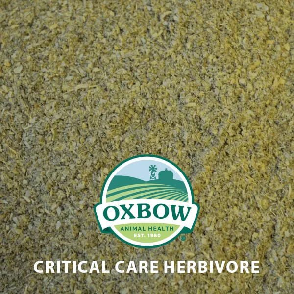 Critical Care Herbivore Diet - 015OXP01-AB-141 - 141 g - Apple Banana - 3