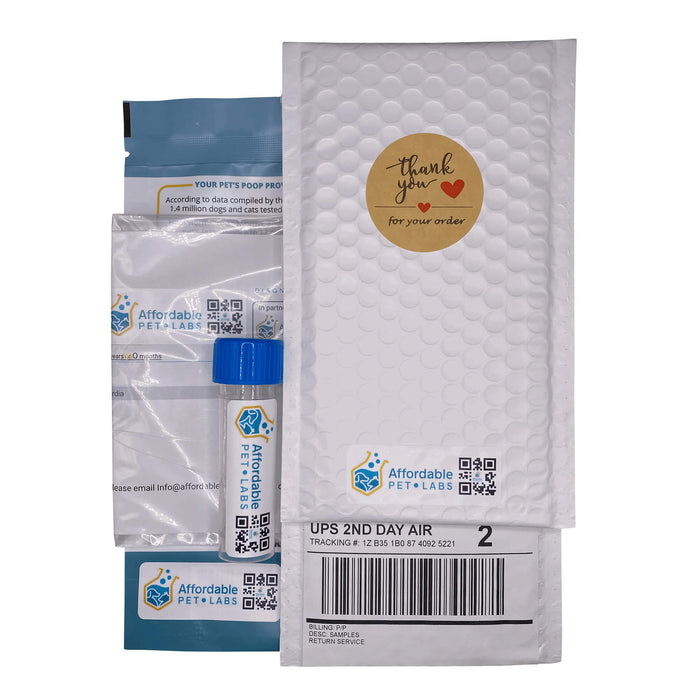Diarrhea Disease Diagnostic Test - Fecal PCR Test For Dogs, Easy Home Kit - AF21B - 4