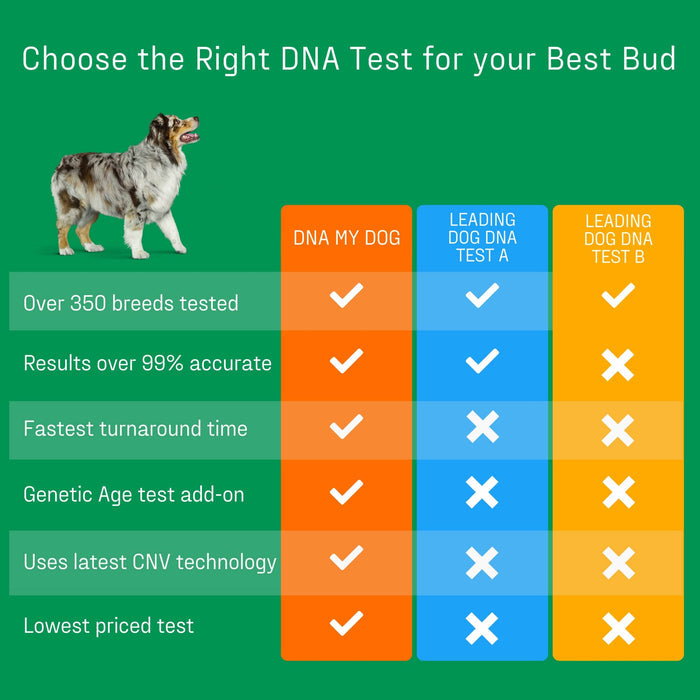 DNA My Dog - Essential Breed ID Test - DNAAC - 1 - 8