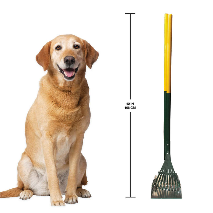 Dog Rake & Scooper Set for Pet Waste Pick - up - 39XZ - Small - 5