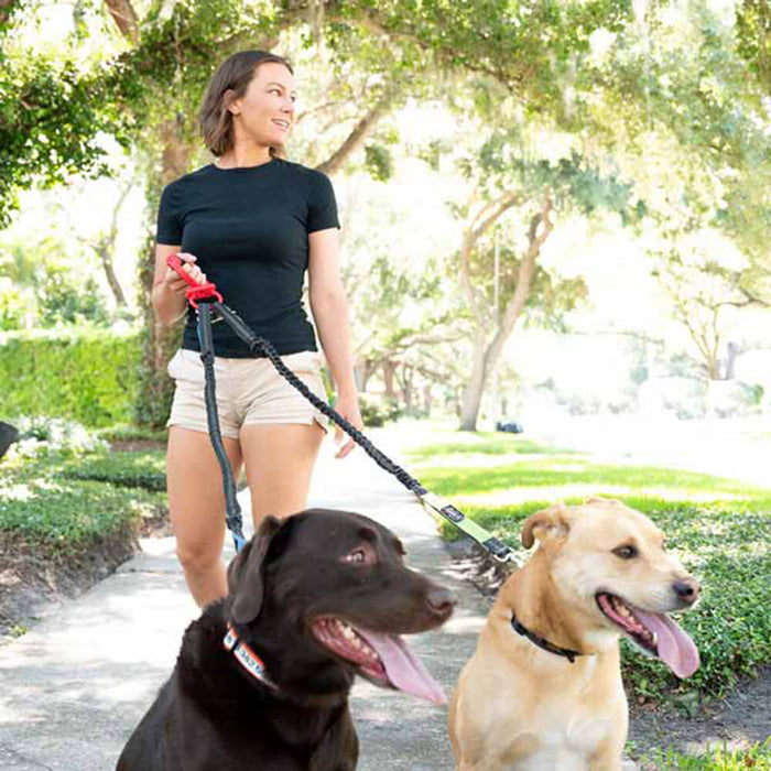 Doggie Pal Leash Holder and Waste Bag Storage - 024ZOYA-00007 - Red - 2
