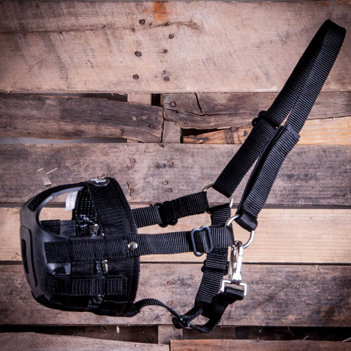 Easy Breathe Grazing Muzzle for Horses, Black - JTI1A - Mini - 2