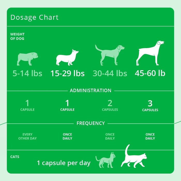 Eicosa3FF SnipCaps Omega 3 Capsules for Dogs & Cats - 015DP-FFACL120 - Large Dogs Over 30 lbs - 120 Count - 6