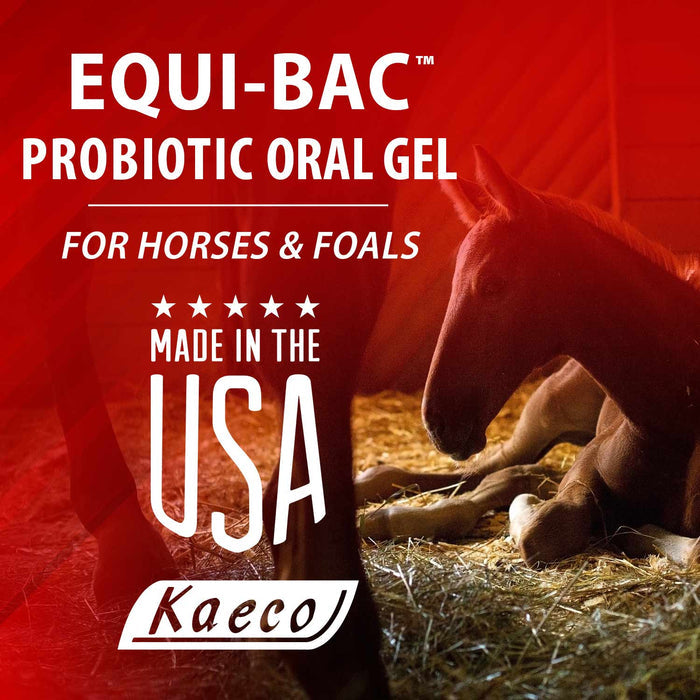 Equi - Bac Probiotic Gel for Horses - KKE4 - 4