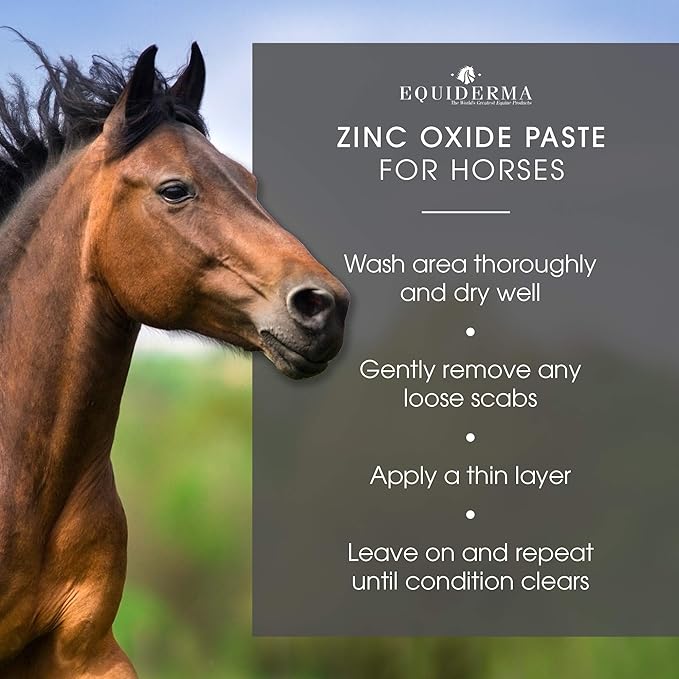 Equiderma Zinc Oxide Paste, 16 oz - AABAX - 2