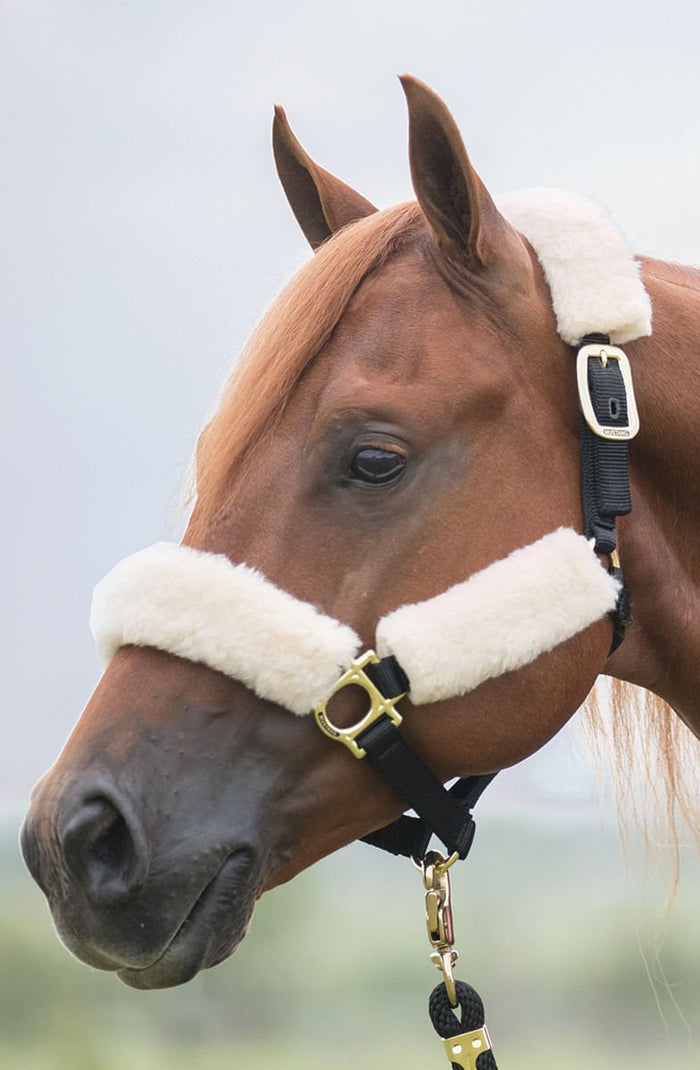 Fleece Halter Cover Set, Natural - 121YV - 2