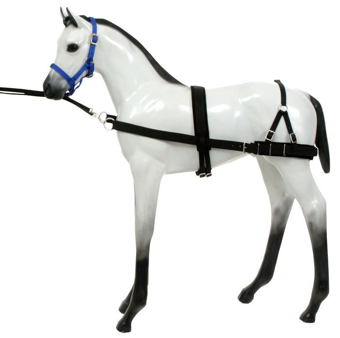 Foal Training Device - JTIA28 - 1