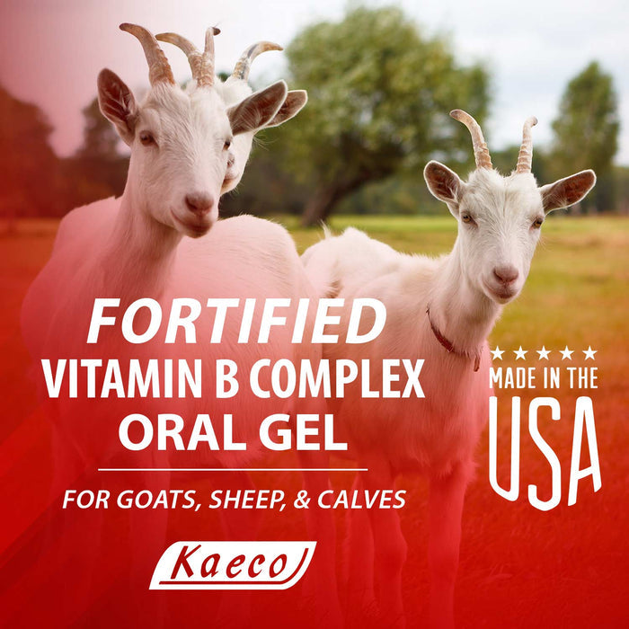 Fortified Vitamin B Complex Gel for Goats, Sheep & Calves, 30 g - KKV1 - 4