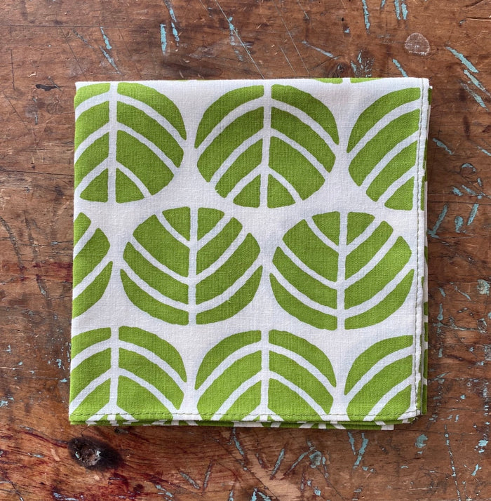 Cabbage