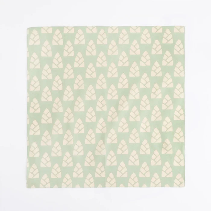 Bamboo Shoot