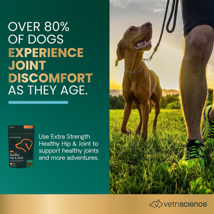 Glyco Flex 3 Joint Support for Dogs, 120 Bite Sized Chews - 015VS-9569-12 - 120 ct - 4