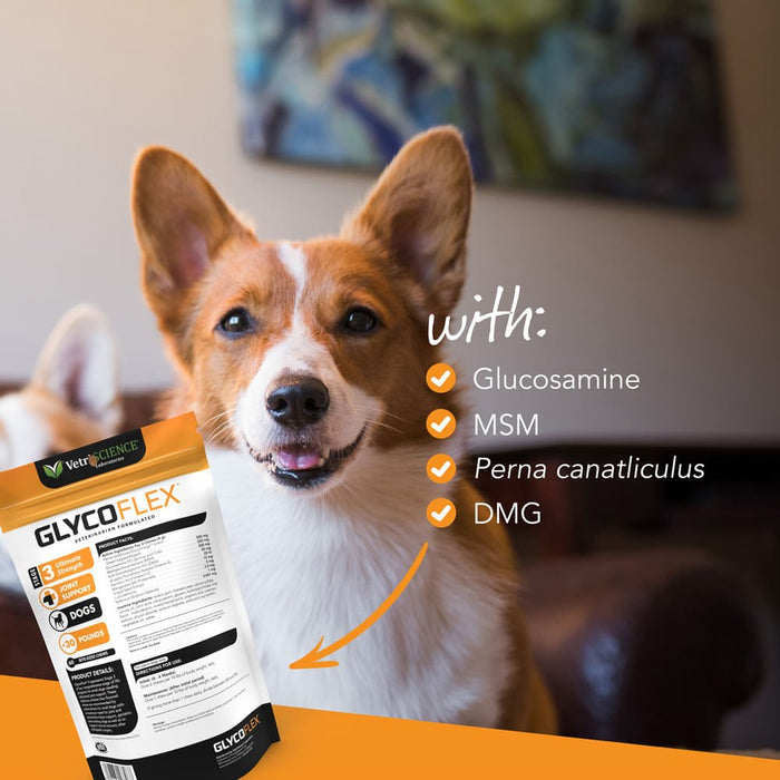 Glyco Flex 3 Joint Support for Small Dogs, 60 Bite - Sized Chews - 015VS-0900669-060 - 60ct - 4