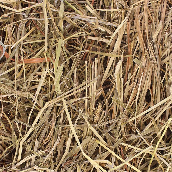 Grandpa's Best Timothy Loose Boxed Hay - 010BEST-00643 - 20lb - 3
