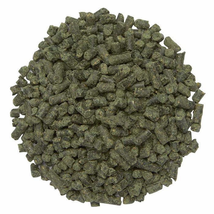 GUT, Digestive & Stomach Support Supplement for Horses, Pellets - SMA7 - 2.7 lb - 8