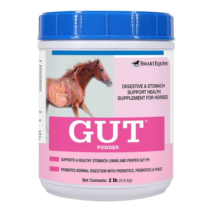 GUT, Digestive & Stomach Support Supplement for Horses, Powder - SMAF - 2 lb - 1