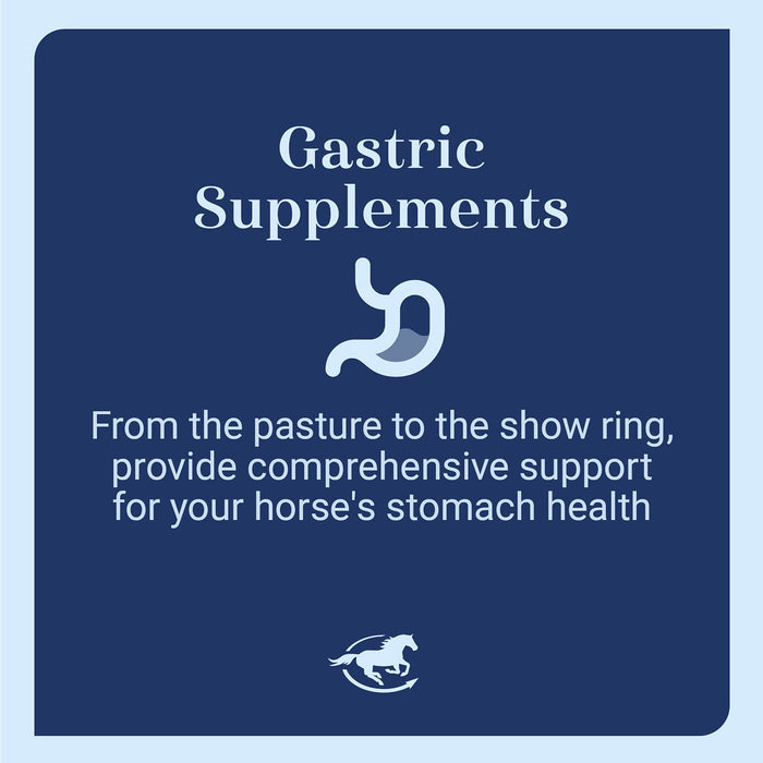 GUT, Digestive & Stomach Support Supplement for Horses, Powder - SMAF - 2 lb - 4