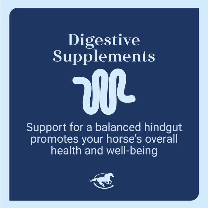 GUT, Digestive & Stomach Support Supplement for Horses, Powder - SMAF - 2 lb - 5
