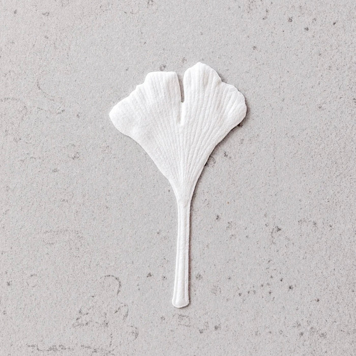 Fennel