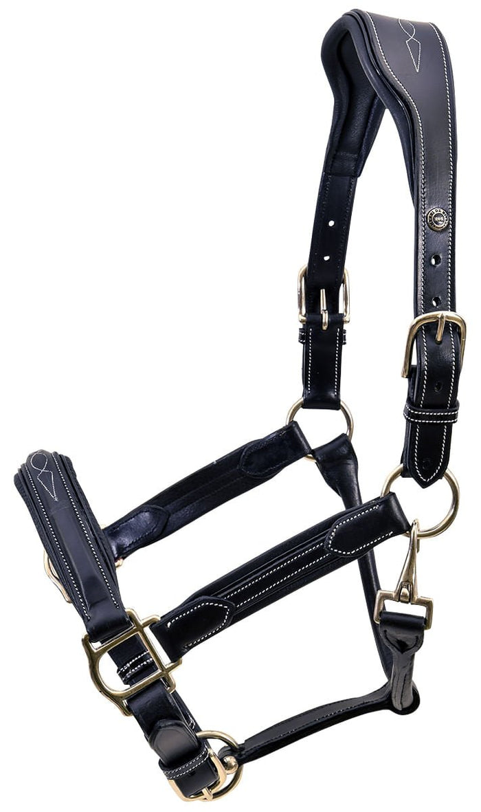 HDR Stress Free Fancy Stitch Leather Halter - J0AC6 - Black - Cob - 2