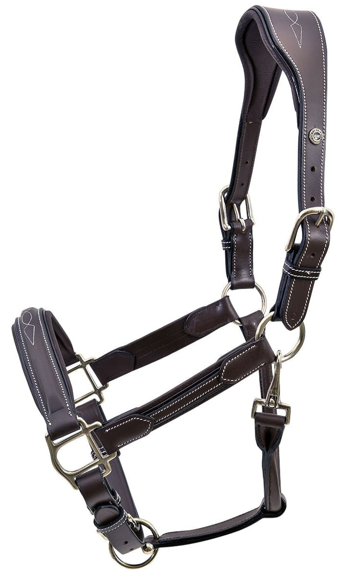 HDR Stress Free Fancy Stitch Leather Halter - J0AC6 - Black - Cob - 6