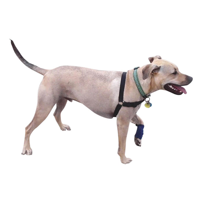 Healers Leg Wrap for Dogs - 014HPC-35507 - M - 5