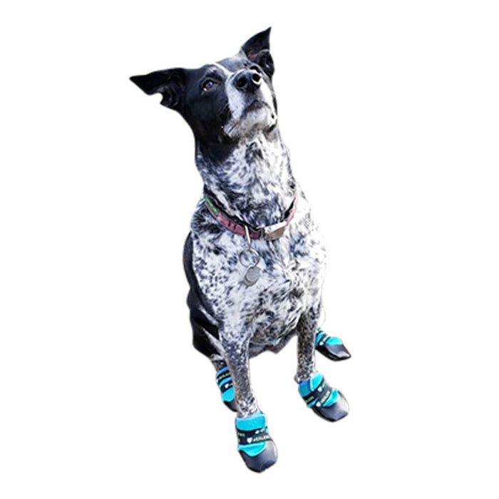 Healers Urban Walkers III Dog Boots, Pair - 014HPC-56023 - Teal - XL - 3