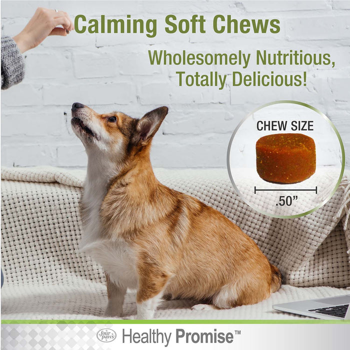 Healthy Promise Calming Chews for Dogs, Savory Liver, 90 ct - 39XG - 90ct - Liver - 5