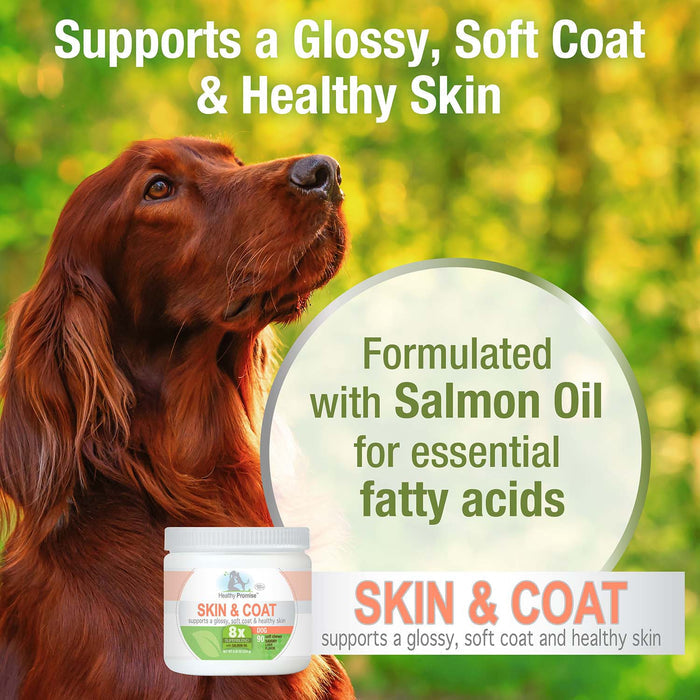 Healthy Promise Skin and Coat Soft Chews for Dogs, Savory Liver, 90 ct - 39XH - 90ct - Liver - 5