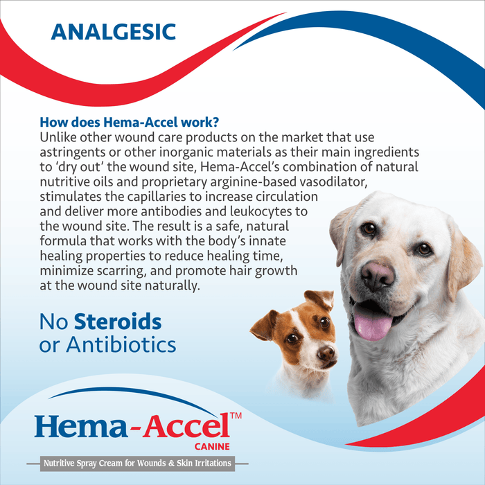 Hema - Accel Equine All Natural Wound Care Spray, 16 oz - VB1L - 16oz - 2