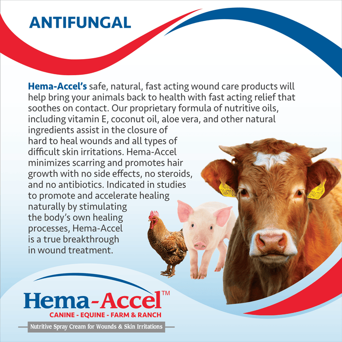 Hema - Accel Farm & Ranch All Natural Wound Care Spray, 16 oz - VB1K - 16oz - 3