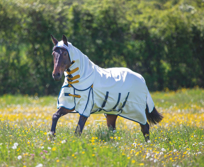 Highlander Plus Sweet - Itch Combo Horse Sheet, 600 Denier - SEP1GQ - 69 in - White/Teal/Mustard - 1