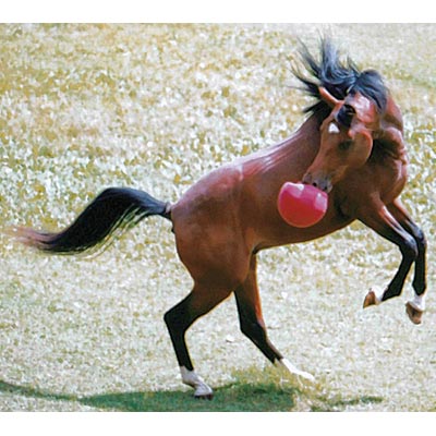 Horseman's Pride Scented Jolly Ball 10" Horse Toy – Durable, Chew - Resistant Equine Enrichment Ball for Outdoor Fun - H7B1 - Red (Strawberry) - 3