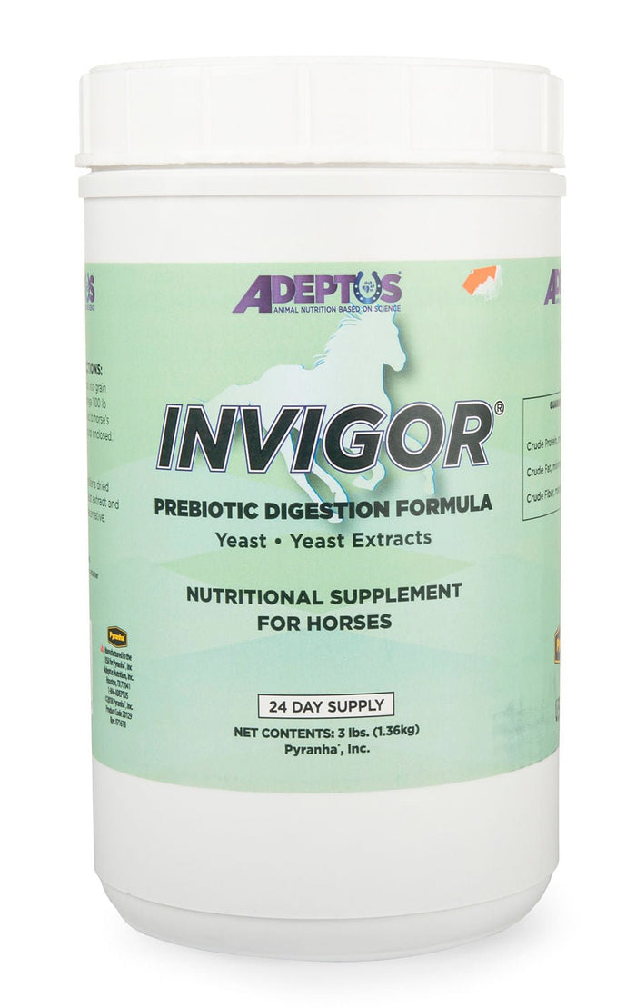 Invigor Prebiotic Digestion Formula - IYAA - 3 lb Invigor (24 day supply) - 1