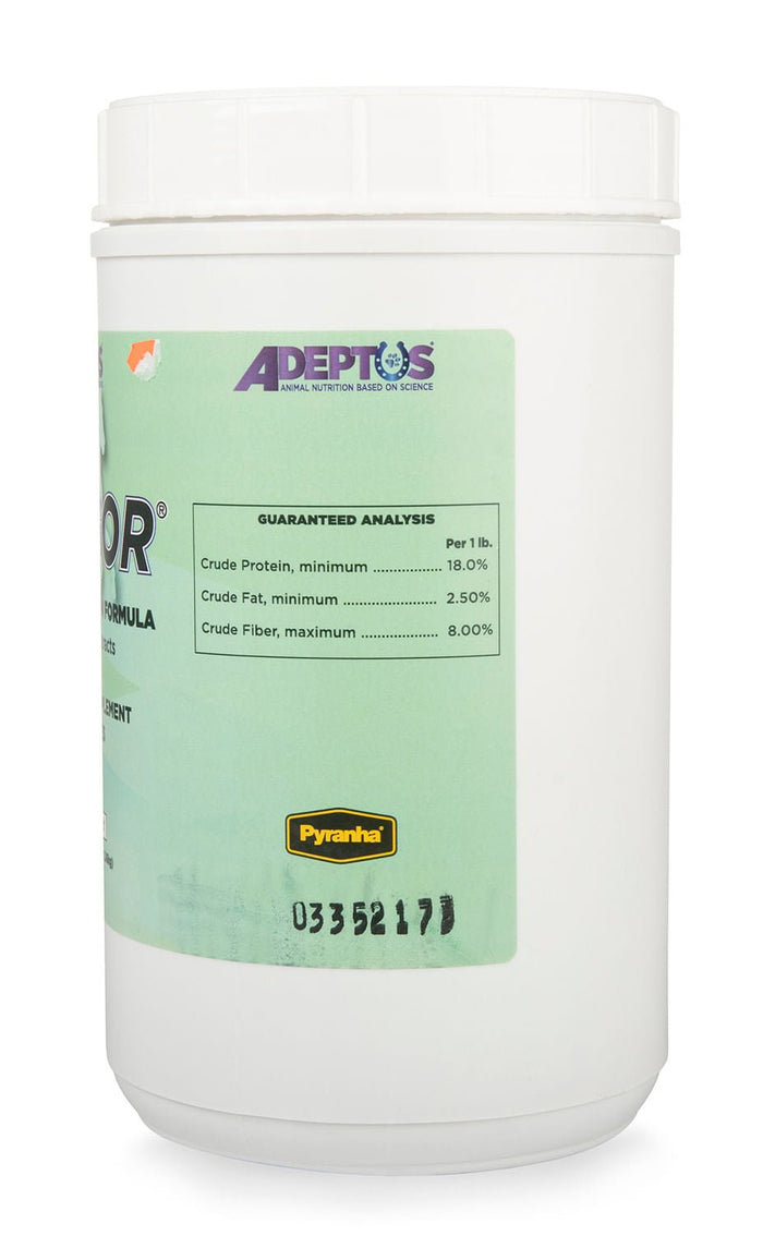 Invigor Prebiotic Digestion Formula - IYAA - 3 lb Invigor (24 day supply) - 3