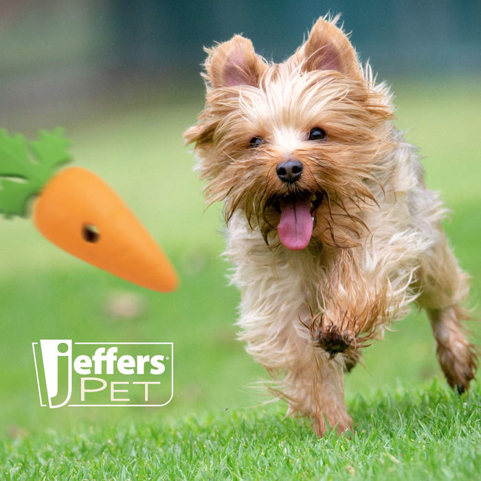 Jeffers Baby Carrot Natural Rubber Treat Dispensing Dog Dental Chew Toy - I7QA - Multi - Small - 1 - 6