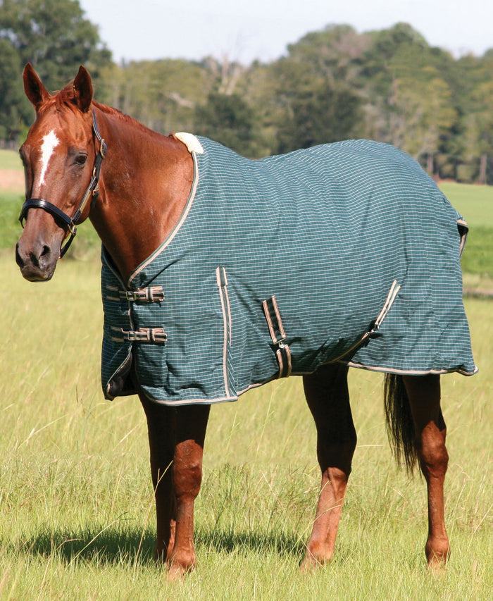 Jeffers Basic Canvas Blanket - GAGHJ - Green/White Check - 60 in - 1