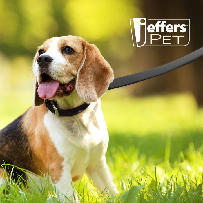 Jeffers Black Padded Leather Pet Leash - I2E6 - 5/8"W x 4'L - 3