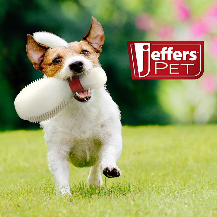 Jeffers Bowling Pin Natural Rubber Treat Dispensing Dental Chew Toy for Dogs - I7QS - Multi - Medium - 1 - 6