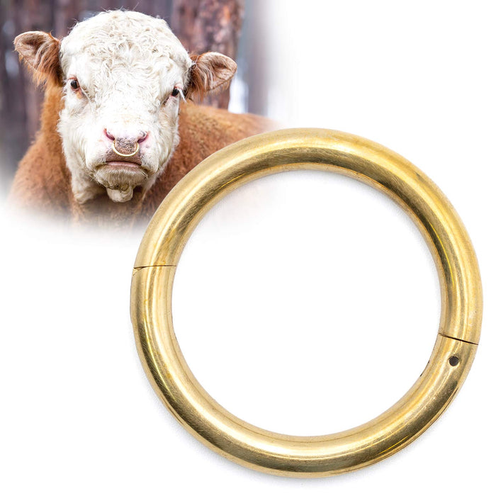 Jeffers Bull Ring with Screws - JIR1 - Small (2.5" x 3/8") - 1