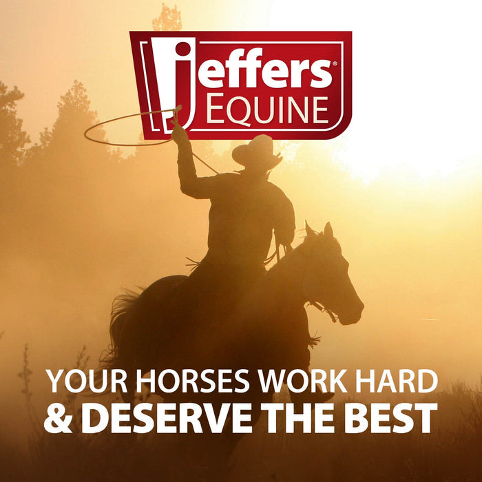 Jeffers Cribbing Muzzle, Horse - IACY - 6