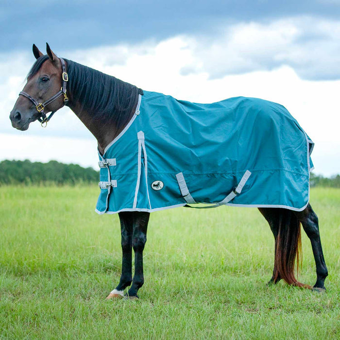 Jeffers Economy 600 Denier Lightweight Standard Neck Horse Turnout Sheet, 0 g Fill - GAG1VB - Teal/Grey - 66" - 4
