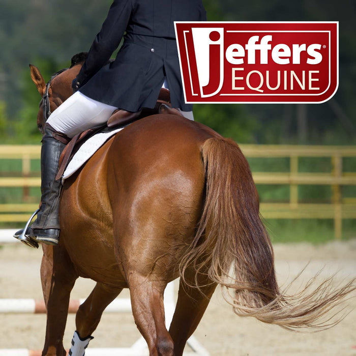 Jeffers Expression Softmesh Combo Neck Horse Fly Sheet - JEF2PN - Skater Cowgirl - 66" - 13