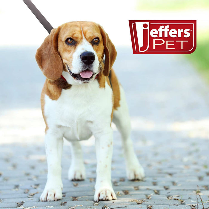 Jeffers Flat Leather Dog Leash with Hand Strap Handle, 6'L - 8M0E - 3/4"W x 6'L - 2