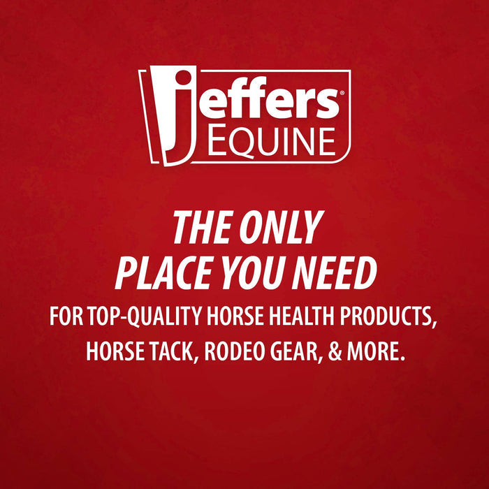 Jeffers Stainless Steel Sharp Grooming Scissors for Horses – Mane, Tail & Braiding Trimming Tool - JIU4 - 7"L - 8