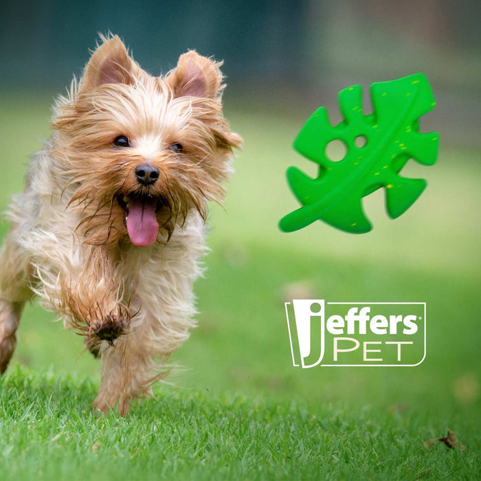 Jeffers Leaf Shaped Natural Rubber Dog Chew Toy with Dental Benefits and Vanilla Scent for Medium Chewers - I7Q6 - Green - Medium - 1 - 6