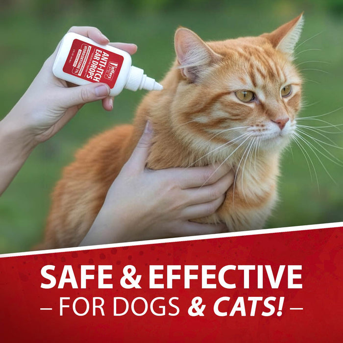 Jeffers Pet Anti - Itch Ear Drops with Hydrocortisone Ear Relief for Dogs & Cats - JEF2RH - 2 fl oz - 7